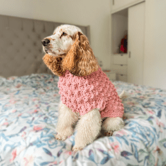 Kit Ropita para mascotas
