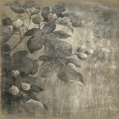 PAPER PANEL FIGUIERS1