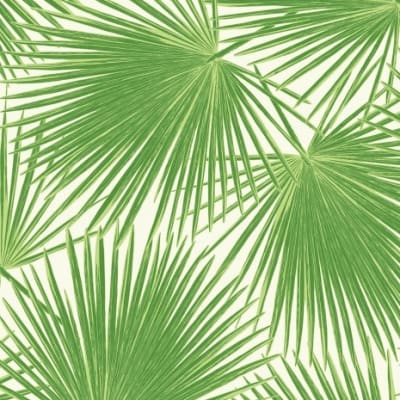 WALLPAPER ARUBA