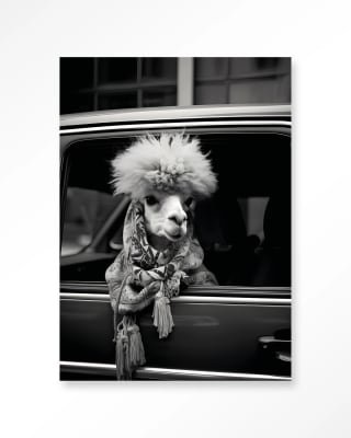 CUADRO ALPACA IN TAXI