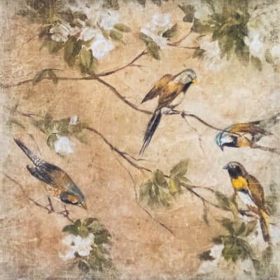 PAPER PAPER OISEAUX DANS SERINGA1