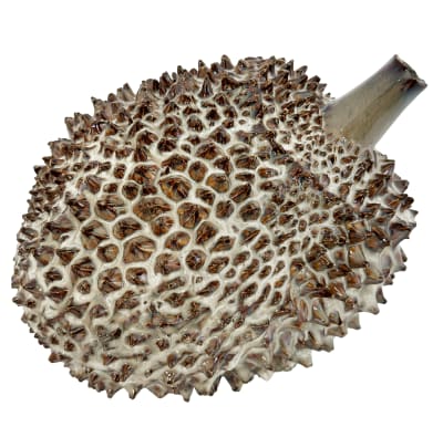 VASE DURIAN