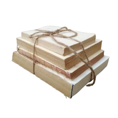 ADORNO LIBROS