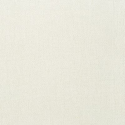 WALLPAPER TURINI DOTS