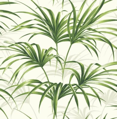WALLPAPER OPEN PALM LEAF