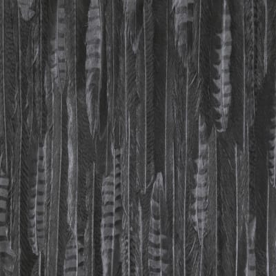 WALLPAPER CURIOUS FEATHERS