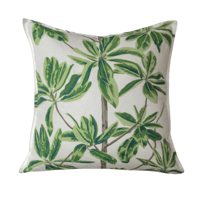 FUNDA MANGROVE TREE1