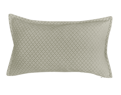 FUNDA RIÑONERA POISE JADE