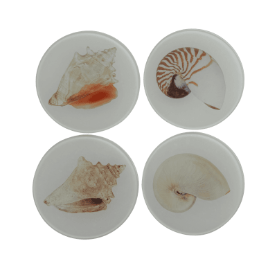 POSAVASOS MOLUSCOS SET X 41