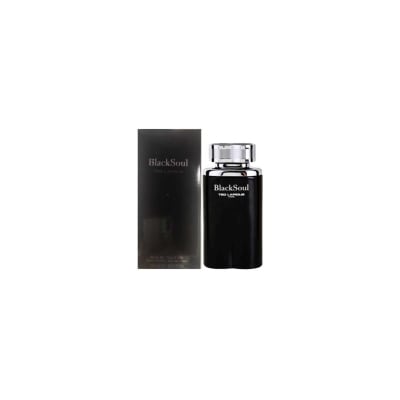 TED LAPIDUS BLACK SOUL 100 ML EDT1
