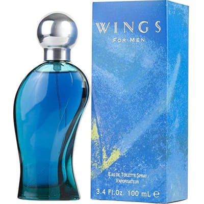 GIORGIO WINGS MEN 100 ML1