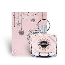 FRAGANCE WORLD NOIR BREEZE 100 ML EDP