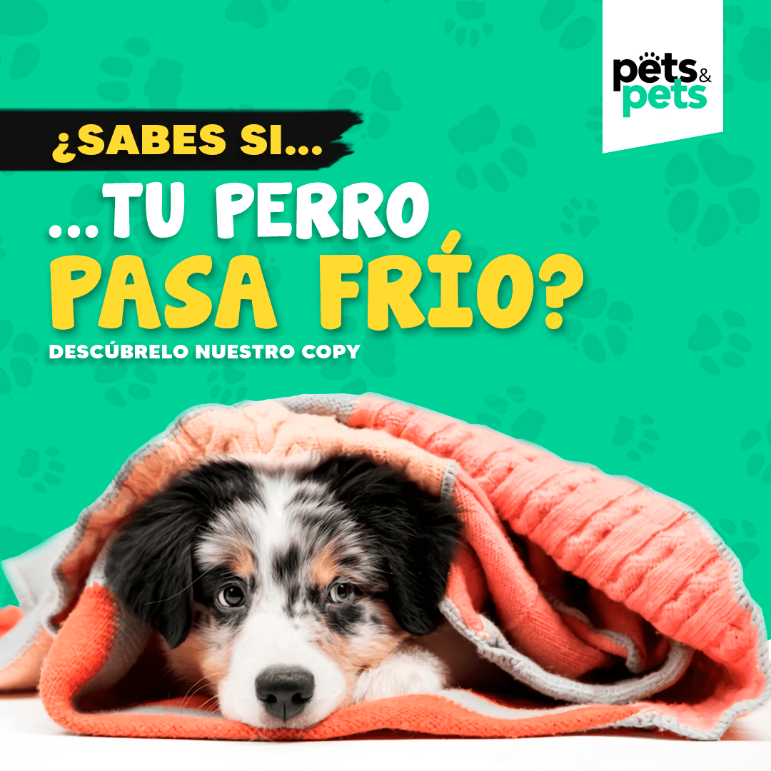 Cuiudados importantes