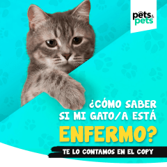 Salud y cuidado