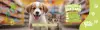49102.webp