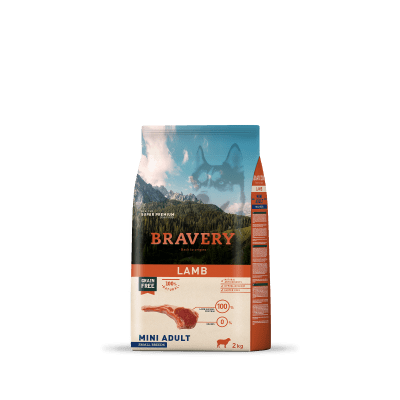 BRAVERY - LAMB MINI ADULT SMALL BREEDS