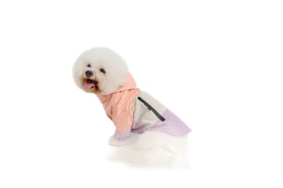 RAINCOAT TRICOLOR PASTEL