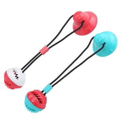 JUGUETE PET DENTAL BALL CON SOGA ELASTICA1