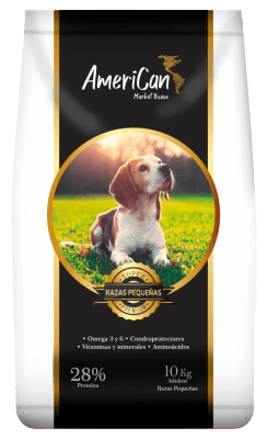 AMERICAN ADULTO RAZAS PEQUEÑAS2