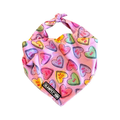 GLAMPET BANDANA BAE VALENTINE1