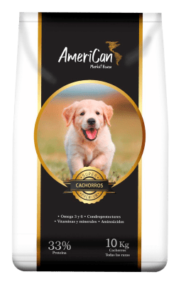 AMERICAN CACHORRO
