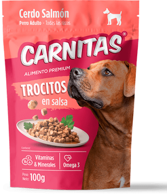MIMMA CARNITAS PERRO TROCITOS CERDO Y SALMON EN SALSA
