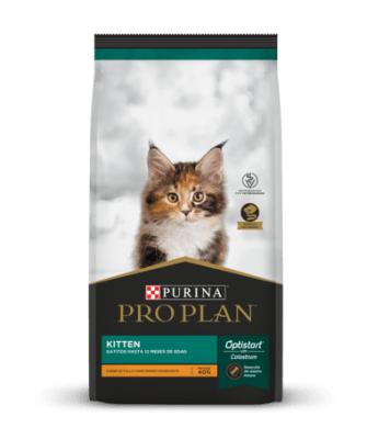 PRO PLAN CAT KITTEN