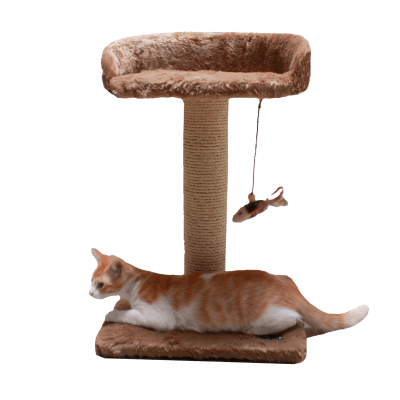 KTZ RASCADOR CON CAMA BEIGE1