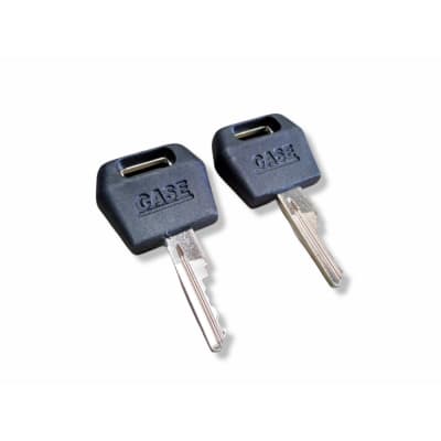 LLAVES DE ENCENDIDO 1964831C21