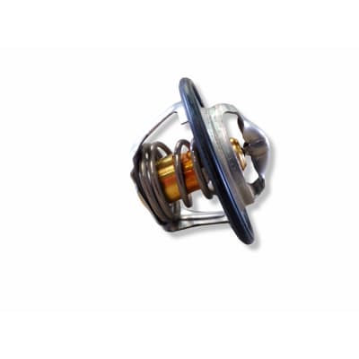 TERMOSTATO 504380075 (84322388 - 2852471)