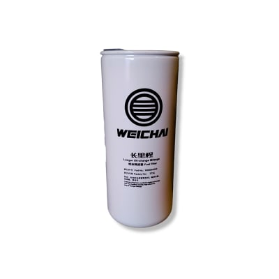 FILTRO DE COMBUSTIBLE - 10000535553