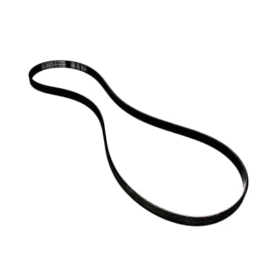 FAJA DE DISTRIBUCION  - 10050631621