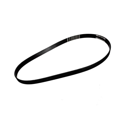 FAJA DE MOTOR POLY V -10031613931