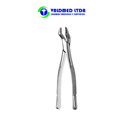 Forcep bayoneta universal N°10S1