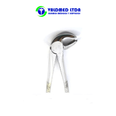 Forcep curvo borde grueso c/espolón N°22