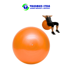 Balón ejercicio pilates + bombín 55cm