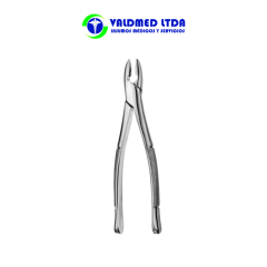 Forcep recto anterior n°1