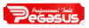 PEGASUS