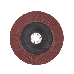 DISCO FLAP 180MMX60DT HOTECHE