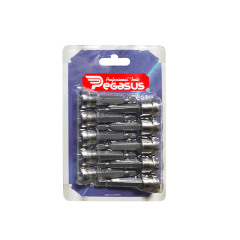 SET TOPE PUNTA PH2 LARGA 10PCS PEGASUS