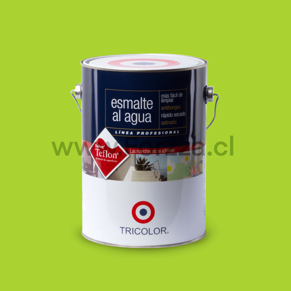 PINTURA ESMALTE AL AGUA PROFESIONAL COLOR PISTACHO 1GL MARCA TRICOLOR1
