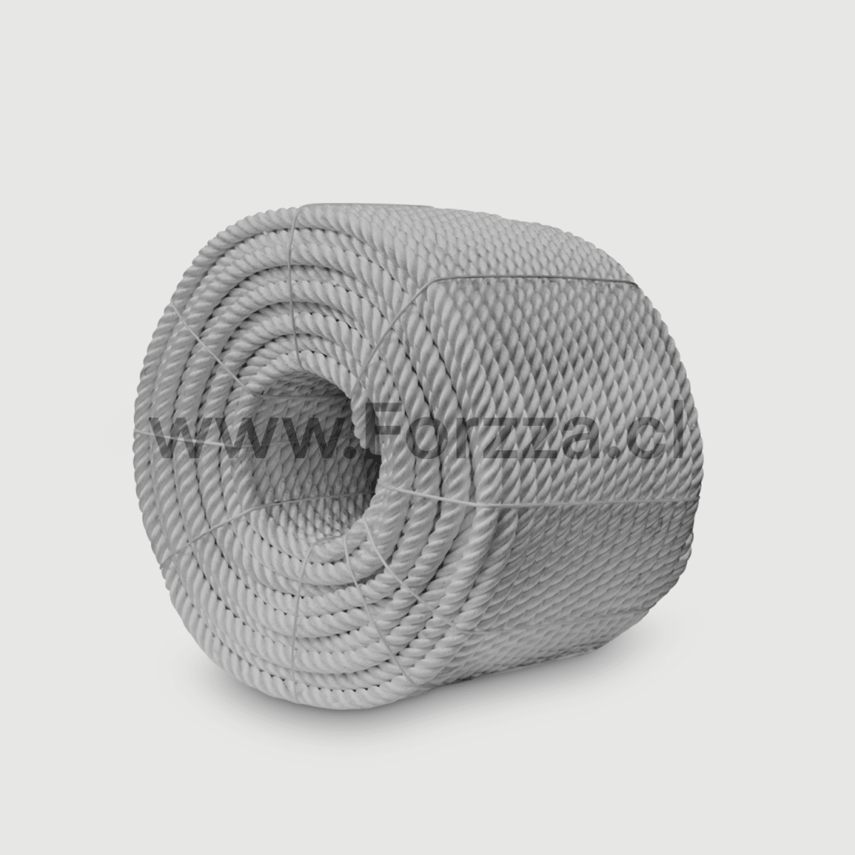 CUERDA TRENZADA 10MM ROLLO 100MTS2
