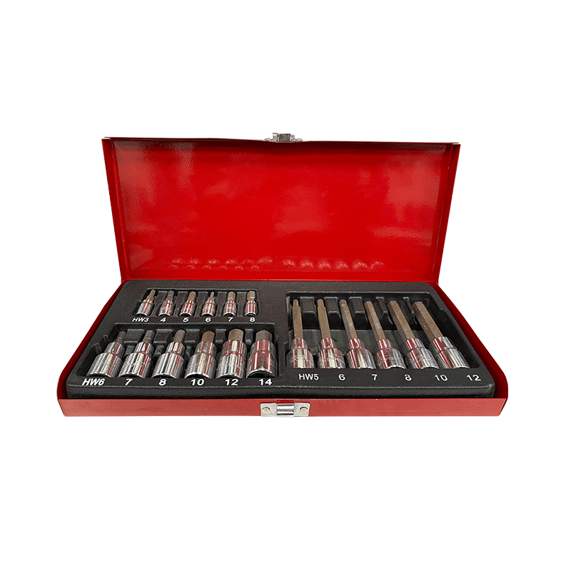 DADO ALLEN 19PCS - 1/4 Y 1/21