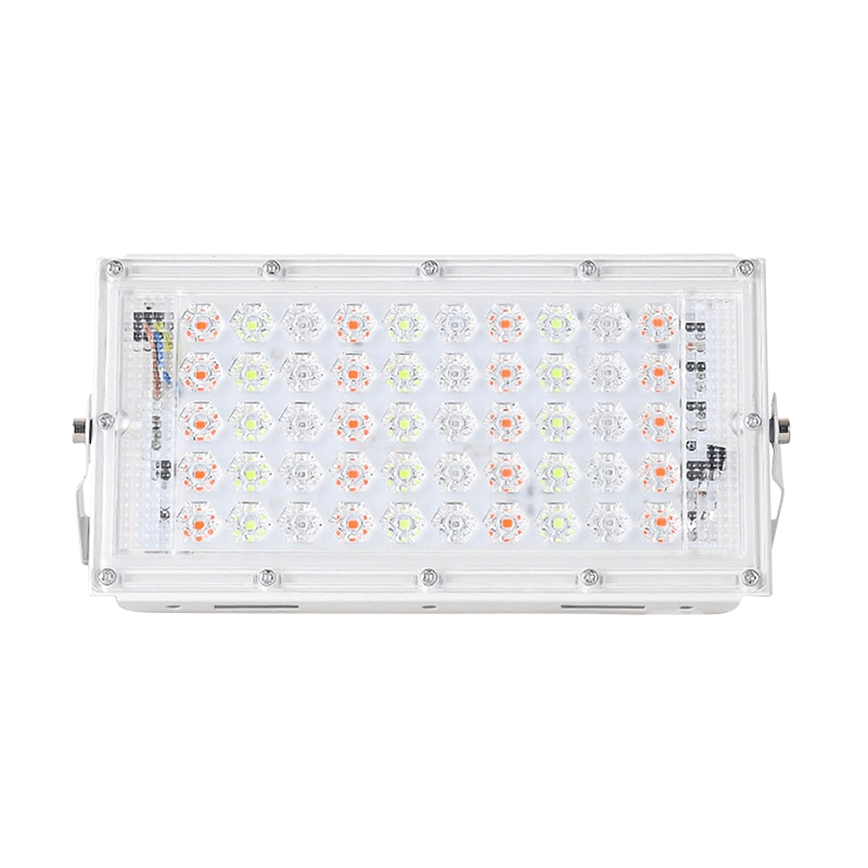 FOCO RGB 50W 220V1