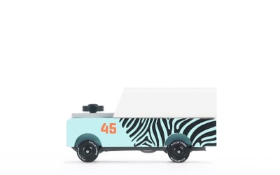 Mini Zebra Drifter3