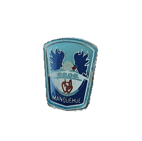 PIN COLEGIO INSIGNIA
