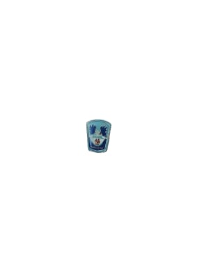 PIN COLEGIO INSIGNIA1