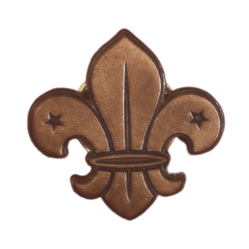 PIN FLOR DE LIZ  SCOUT METÁLICO1