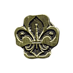 PIN METAL INSTITUCIONAL BRONCE