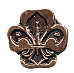 PIN METAL INSTITUCIONAL COBRE
